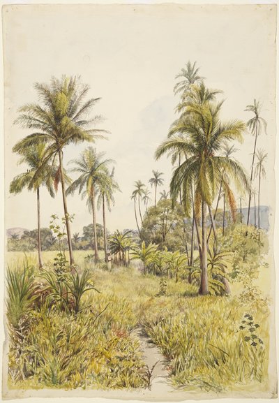 Palm trees, Colima by Adela Breton
