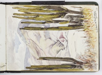 Sketchbook of watercolours, Drawings and Notes, Mexico, 1896-1898 by Adela Breton