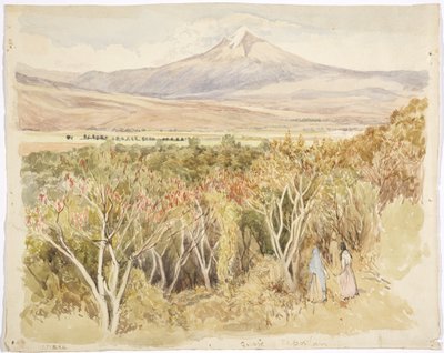 The volcano Popocatépetl from Yautepec, Morelos State, Mexico by Adela Breton