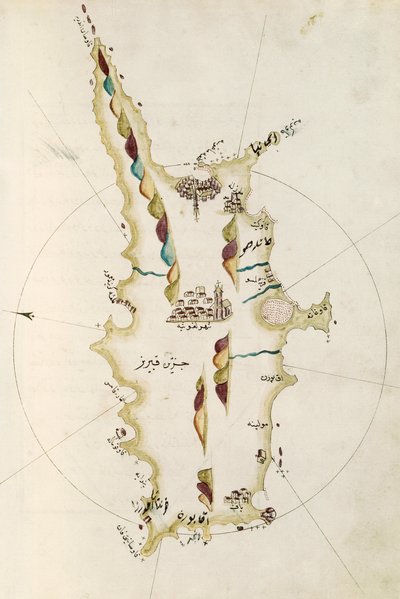 Map of Island of Cyprus by Admiral Piri Reis