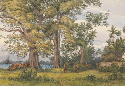 Apia Bay, Upolu, Navigators Islands, [Samoa] from Verandah of My Sick Quarters, Novr 6th 1849 by Admiral Sir Edward Gennys Fanshawe