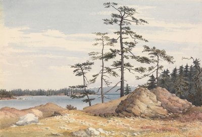 Esquimalt Harbour, Vancouver
