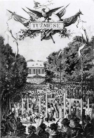 Tuzmese, First Meeting of the Sokols in Prague by Adolf (after) Liebscher
