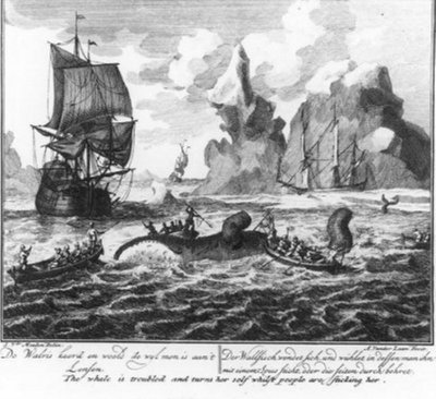 “The whale turns and thrashes while it is being flensed” (no. 6 from the whaling series) by Adolf van der Laan
