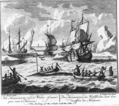 "The Harpooning of the Whale, or Throwing of the Harpoon" (no. 2 from the whaling series) by Adolf van der Laan