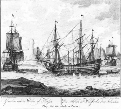 Finishing the Whale or Flensing (No. 8 from the Whaling Series) by Adolf van der Laan