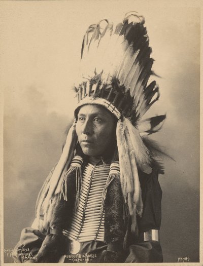 Hubble Big Horse, of the Tsistsistas People by Adolph F. Muhr
