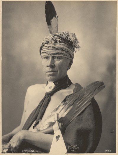 Mosteose (Holy Rabbit), Iowa by Adolph F. Muhr