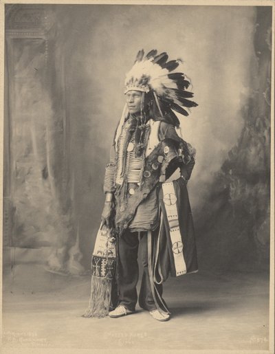 Spotted Horse, of the Oceti Sakowin Oyate People by Adolph F. Muhr