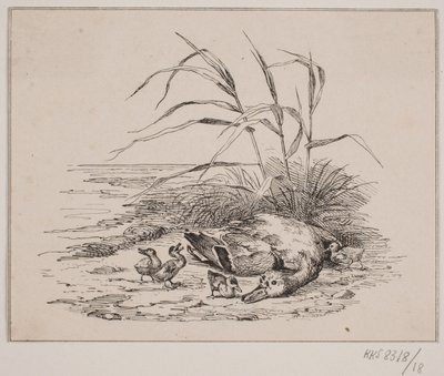 The Killed Duck by Johan Adolph Kittendorff