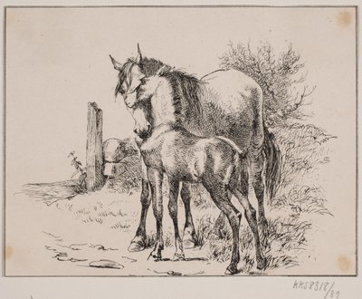 The Horse and the Foal by Johan Adolph Kittendorff