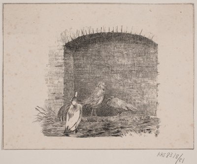 The Chickens and the Ducks by Johan Adolph Kittendorff