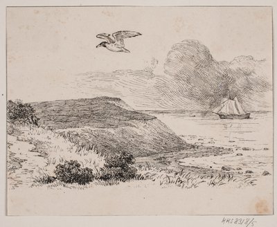 The Seagull by Johan Adolph Kittendorff