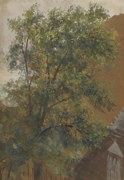 View from the Studio Window at Marienstraße 22 by Adolph Menzel
