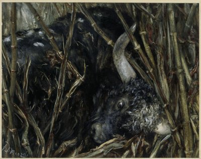 The Yak Bull in the Bamboo. From the „Children