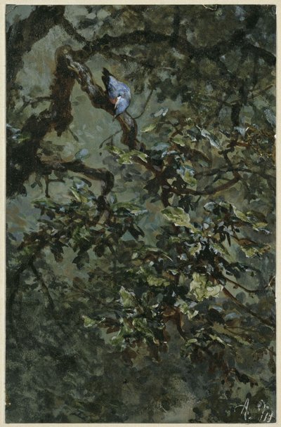 The Blue Woodpecker in the Foliage. From the "Children