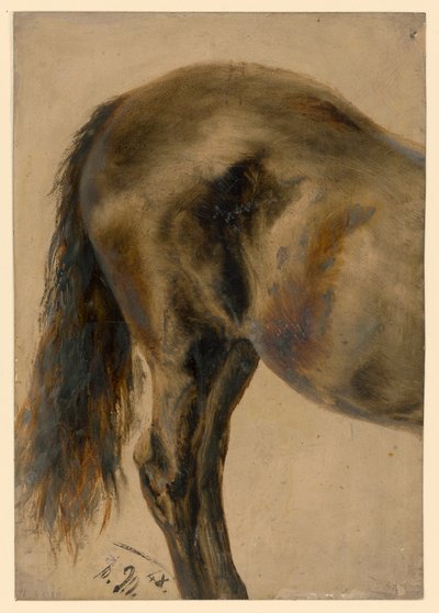 Hindquarters of a Horse in Profile by Adolph Menzel