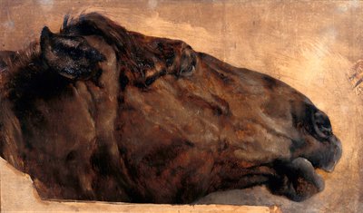 Horse Study. Head in Profile to the Right by Adolph Menzel