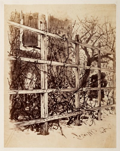 In Front of a House a Trellis, in which a Wig Hangs, to Heinrich von Kleist "The Broken Jug" by Adolph Menzel