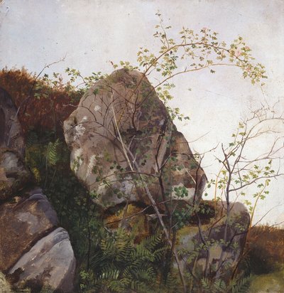 Blooming Wild Rose and Ferns by Adolph Tidemand