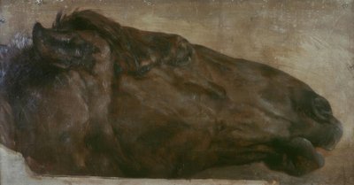 Horse Study. Head in Profile to the Right by Adolph Menzel
