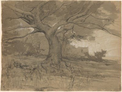 A Great Beech Tree at the Edge of a Wood by Adolphe Appian