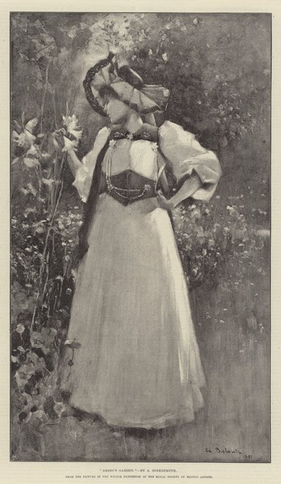 Amrei
