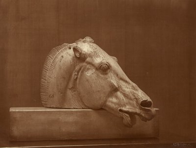 Head of a Horse from the Pediment of the Parthenon, British Museum by Adolphe Braun