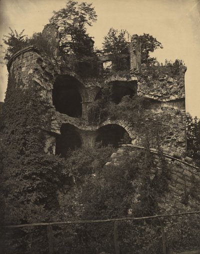 Heidelberg Castle by Adolphe Braun