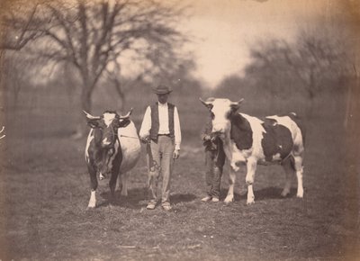 Landscape, c. 1864 by Adolphe Braun