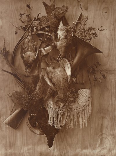 Pheasant and Grouse, ca. 1865 by Adolphe Braun