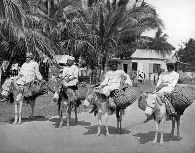 On the Way Home from Market, Jamaica by Adolphe Duperly and Son