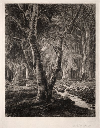 Forest of Pierrefonds by Adolphe Théodore Jules Martial Potémont