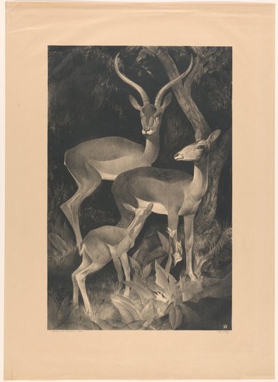 African goats by Adriaan J. van 