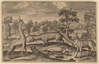 A Giraffe, a Chameleon, a Civet and an Antelope by Adriaen Collaert