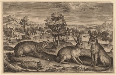 A Mole, a Badger, a Horned Hare and a Fox by Adriaen Collaert