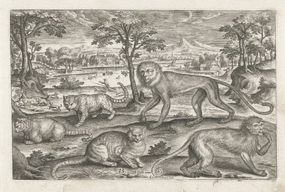Monkeys and Cats (Four-legged Animals) by Adriaen Collaert