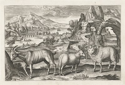 Goat and Sheep (Four-Legged Animals) by Adriaen Collaert