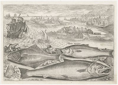 Three Fish on the Beach by Adriaen Collaert