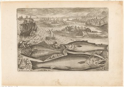 Three Fish on the Beach (series title: Fish, Piscivm vivae icones) by Adriaen Collaert