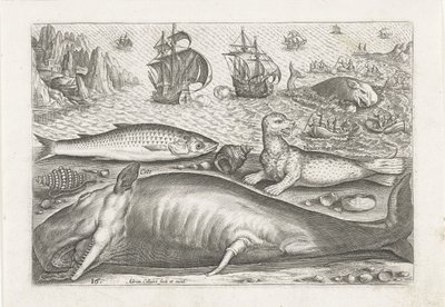 A Haddock, a Sea Lion, and a Whale on the Beach by Adriaen Collaert