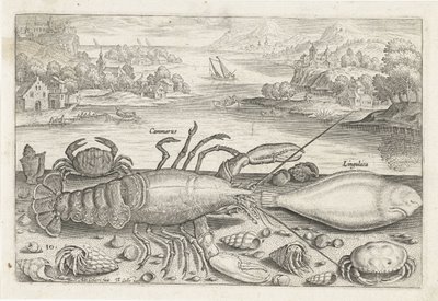 A Fish and Some Shellfish on the Beach by Adriaen Collaert