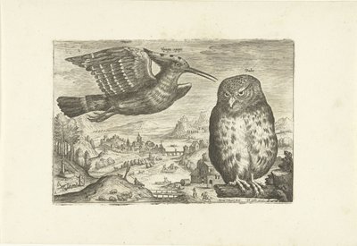 Several Birds in a Landscape by Adriaen Collaert