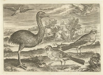 Several Birds in a Landscape (Avivm Vivae series) by Adriaen Collaert