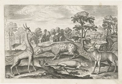 Exotic Animals by Adriaen Collaert