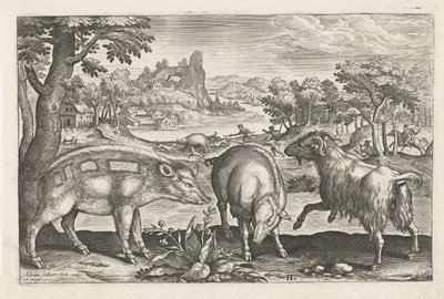 Goat and Pigs by Adriaen Collaert