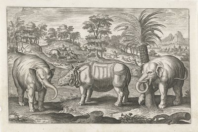Elephants and Rhinoceros by Adriaen Collaert