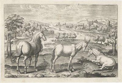Horse and Donkeys by Adriaen Collaert