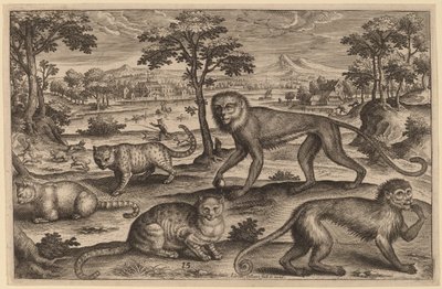Three Cats and Two Monkeys by Adriaen Collaert