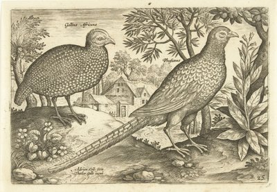 Two Chickens in a Landscape (Avivm Vivae series) by Adriaen Collaert